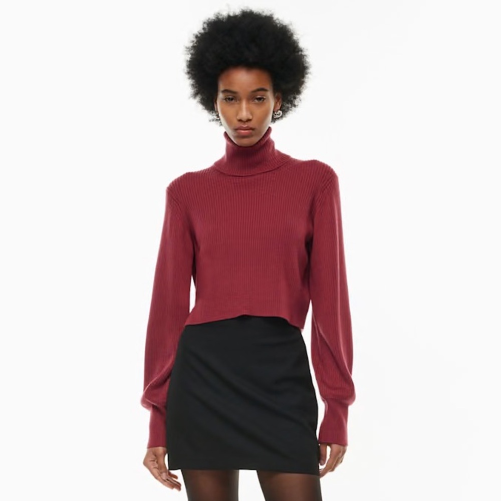 133 - Wilfred Aritzia Women’s Rebecca Turtleneck Merino Wool Turtleneck Sweater - Picture 3 of 11